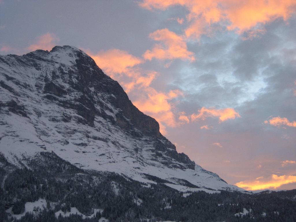"Studio Edelweiss" Spillstatthus Grindelwald Kamer foto