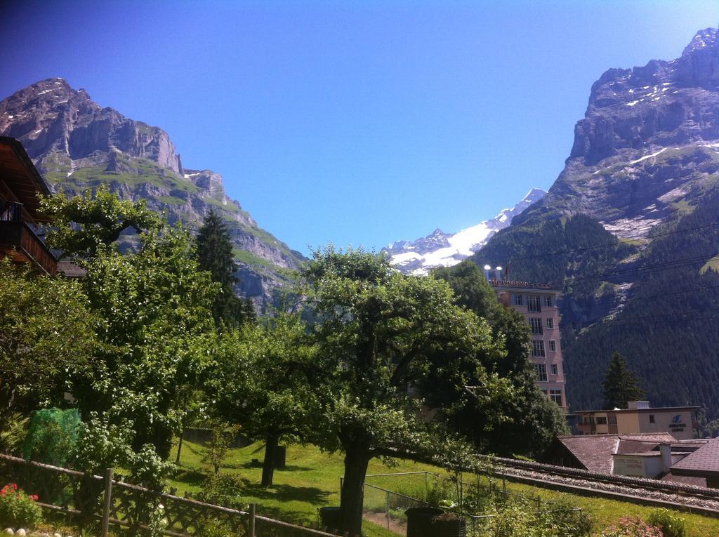 "Studio Edelweiss" Spillstatthus Grindelwald Buitenkant foto